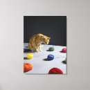 Buscar jengibre lienzos Gato