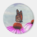 Buscar néctar imanes Mariposa