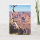 Buscar parque del sur tarjetas Naturaleza