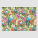 Buscar colibri papel de seda Para todos