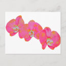 Buscar pintura postales Elegante