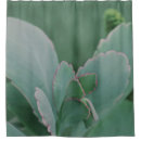 Buscar plantas de la fotografía Jardín