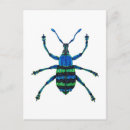 Buscar insecto malvado Azul