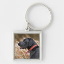 Buscar inglaterra llaveros Perfil