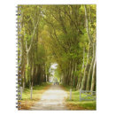 Buscar avenida fotografía Paisaje