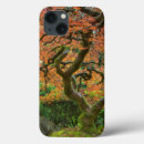 Buscar arce ipad fundas Otoño