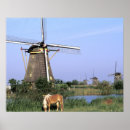 Buscar holanda posters Fotografía