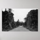 Buscar stevenson posters Estados