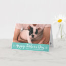 Buscar frenchies tarjetas Para él