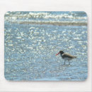 Buscar birdwatching electronica El birding