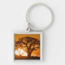 Buscar baobab llaveros África