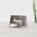 Buscar lobo solitario postales Animales