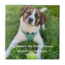 Buscar casado azulejos Para todos