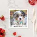 Buscar perro divertido servilletas Para ella