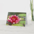 Buscar judy tarjetas Jamie