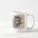 Buscar corazón humano tazas Anatomía