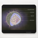 Buscar virus alfombrillas de raton Médico