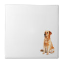 Buscar del golden retriever azulejos General y unisex