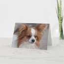 Buscar perro del papillon tarjetas Papilón