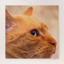 Buscar bigote puzzles Animal