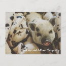 Buscar cerdos del amor postales General y unisex