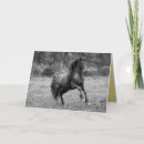 Buscar caballo de salto tarjetas Semental