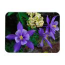 Buscar columbines imanes Azul