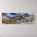 Buscar lobo gris posters Lobos