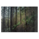 Buscar sendero tablas cortar Bosque