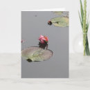 Buscar lirios de agua tarjetas Saludo