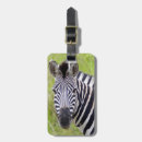 Buscar equus Hierba