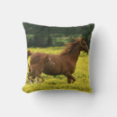 Buscar habitat cojines Hábitat