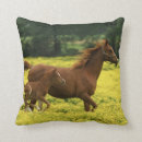 Buscar árabe cojines Mariposa