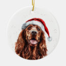 Buscar setter irlandés decoracion Santa
