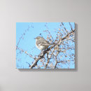 Buscar árbol de la vida fotografia Bonito