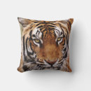 Buscar tigre de bengala cojines Felino