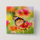 Buscar mariposas de monarca chapas Para todos