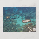 Buscar opinión de ángulo bajo postales Fotografía