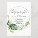 Buscar monstruo verde Monstera