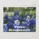 Buscar textura natural postales Flores