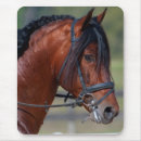 Buscar caballos españoles alfombrillas de raton Caballo español