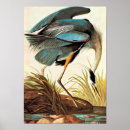 Buscar pájaro azul posters Grúa