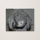 Buscar loro puzzles Loro gris africano