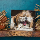 Buscar perro divertido placas fotograbadas Animales