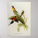 Buscar privat posters Lithograph