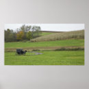 Buscar riendo posters Caballo