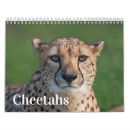 Buscar guepardos calendarios Grandes felinos