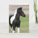 Buscar caballo gitano tarjetas Raza