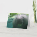 Buscar manatee tarjetas Divertido