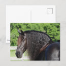 Buscar manga larga postales Caballo